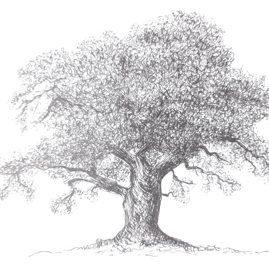 Dibujar árboles